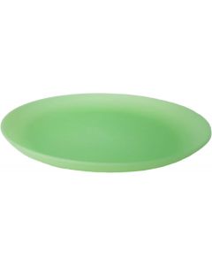 3662037 Plate 23 Cm. Frost Green