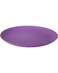 3662089 Plate 23 Cm. Purple